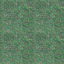 MDF Floresta Guararapes